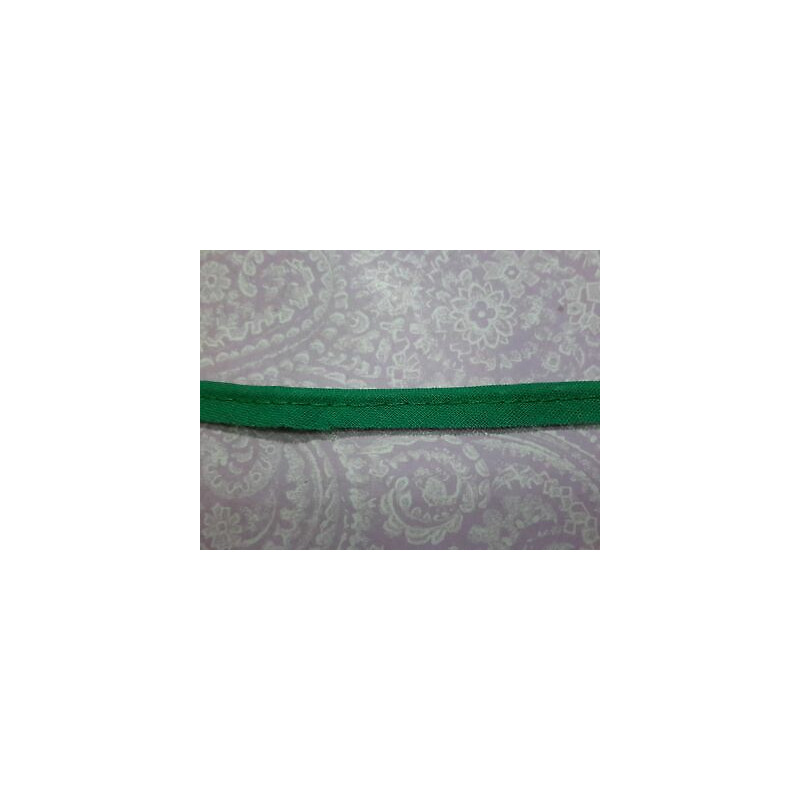 Metri 5 di Passamaneria in tessuto con bordo rialzato colore verde cm 1