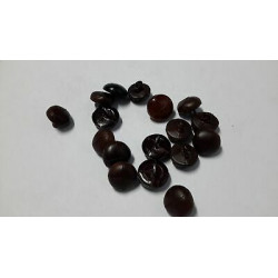 n 13 bottoni rotondi in finto cocco colore marrone varie tonalità cm 1,6 f