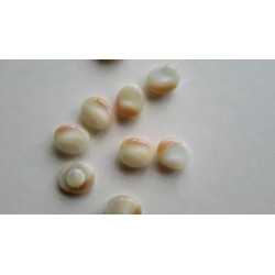 n 12 bottoni ovali colore beige cm 1,2xcm 1,5 foro dietro