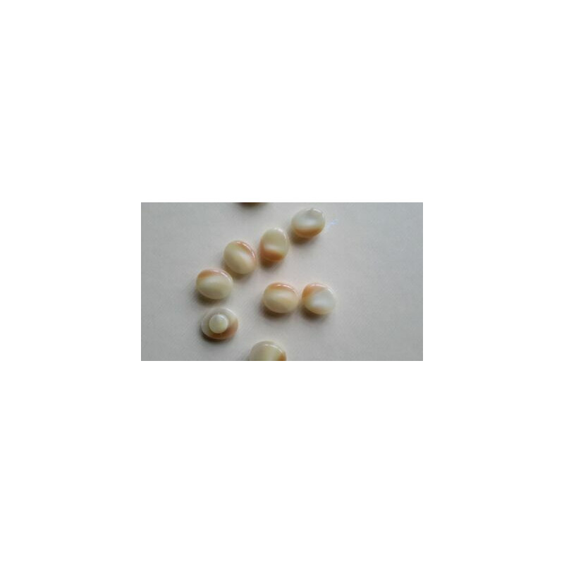 n 12 bottoni ovali colore beige cm 1,2xcm 1,5 foro dietro