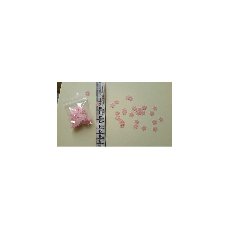 gr. 8 di Paillettes applicazioni a fiore rosa 11 mm circa