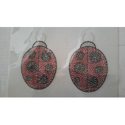 APPLICAZIONE TRANSFERT STRASS ABBIGLIAMENTO 2 COCCINELLE